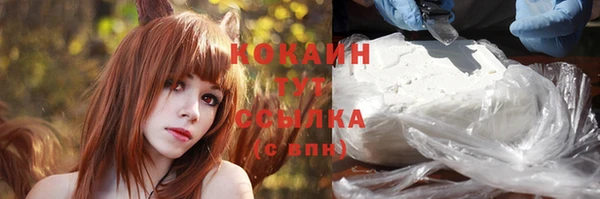 спиды Белокуриха