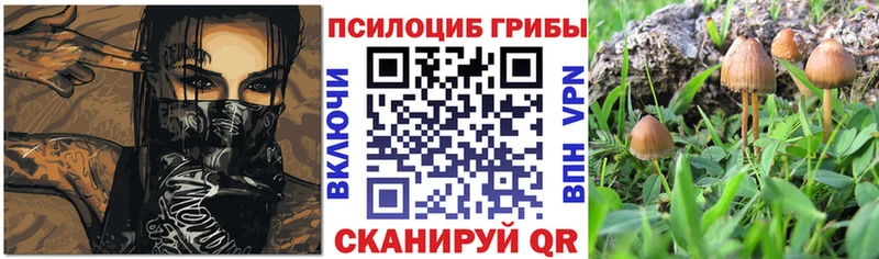 Галлюциногенные грибы мухоморы  наркота  Видное 